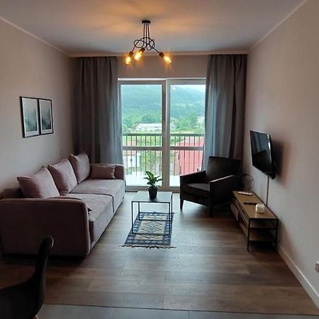 Apartamenty W Bieszczadach Ustrzyki Dolne Buitenkant foto